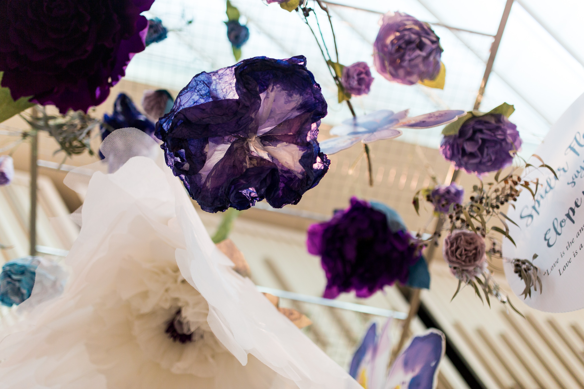 language of flowers