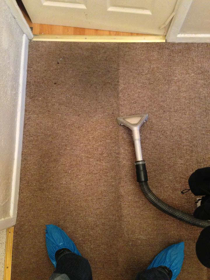 Carpet Cleaning