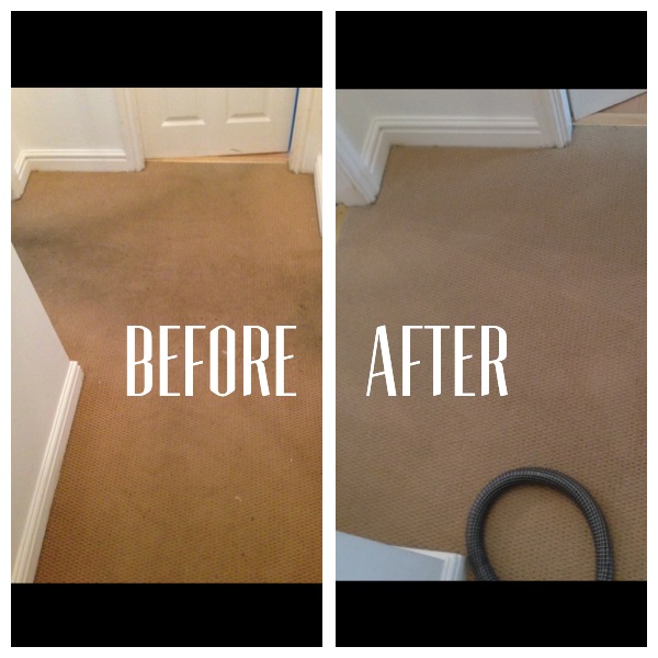 Carpet (2).jpeg