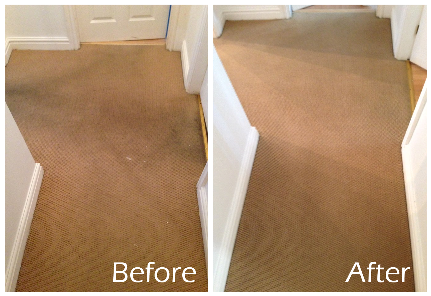 Carpet Cleaning