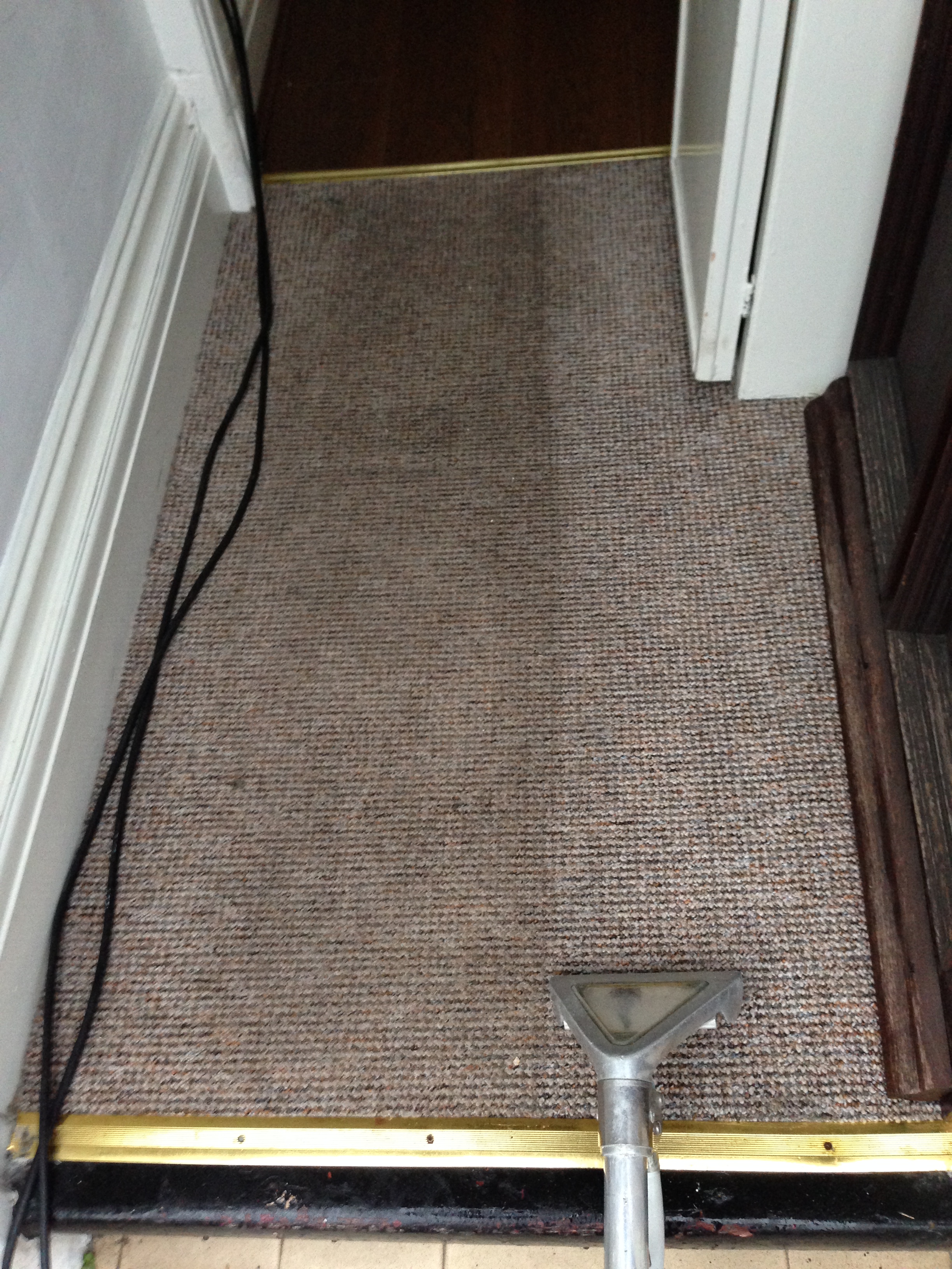 Carpet (1).jpeg