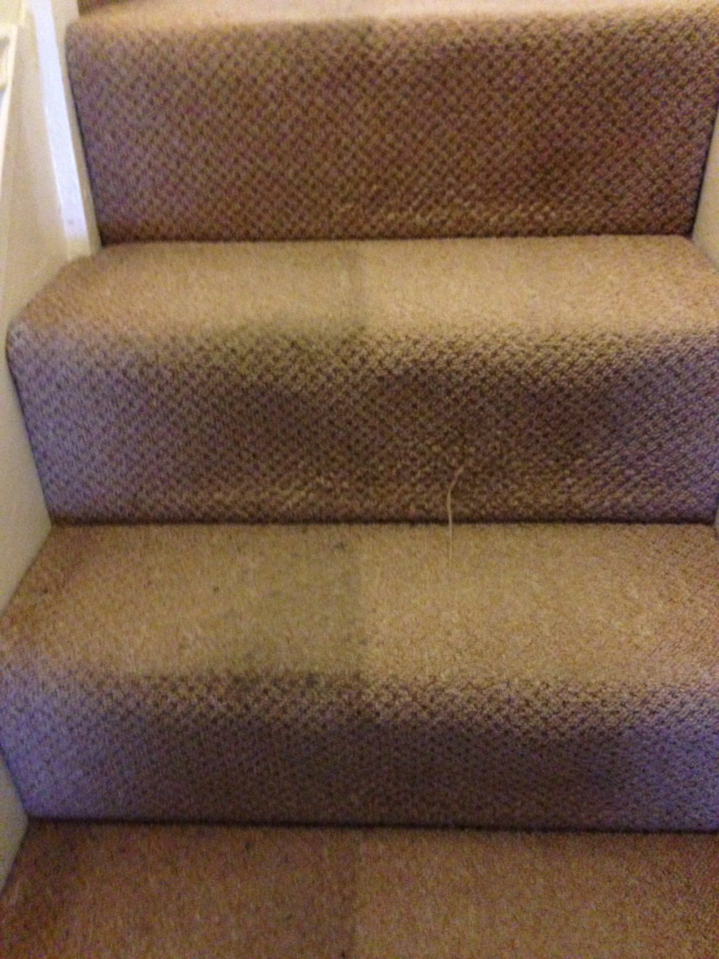 Stairs (1).jpeg