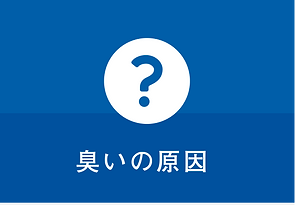 カーエアコンクリーニング「トライｅウォッシュ」
