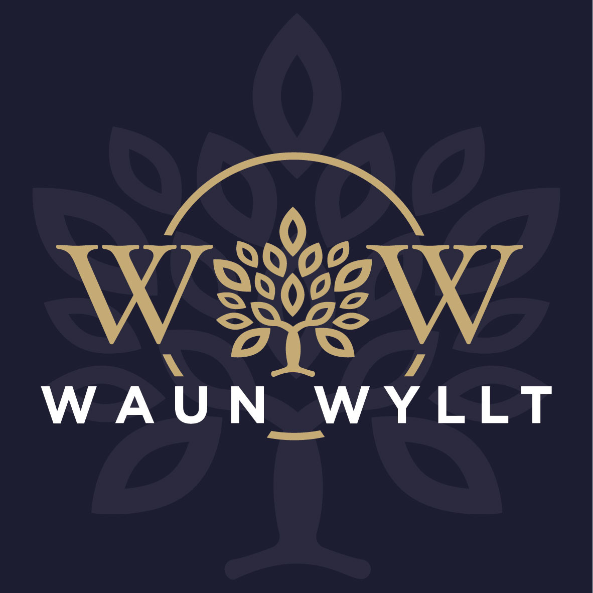 The Waun Wyllt Inn in Llanelli