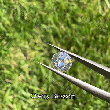 Thumbnail: Cherry Blossom 