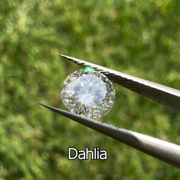 Thumbnail: Dahlia 