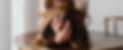 programmes-and-treatments_burnout_colour.jpg