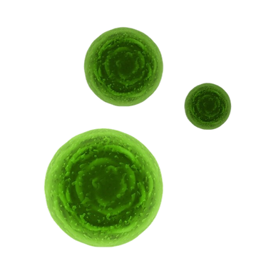 vector-abstract-sphere-green-cocci-bacteria-cells-concept-dark-background copy 2.png