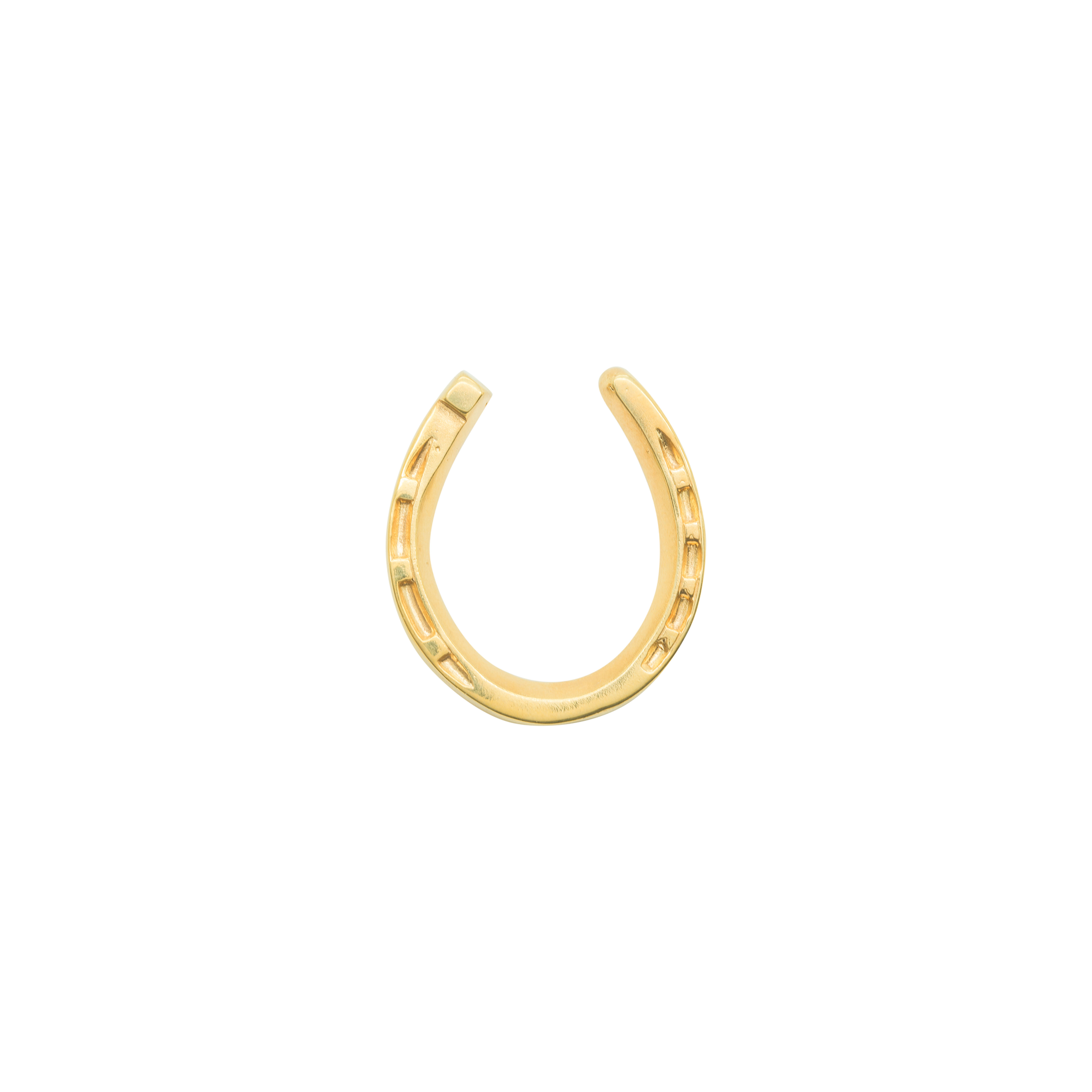 Large Horseshoe