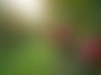 Key Features of a Smart Apple Orchard