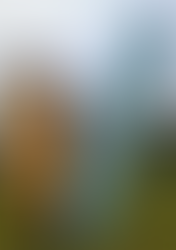 素敵なゴールドコースト。