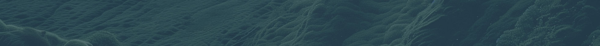 Lush Green Hillside_edited.jpg