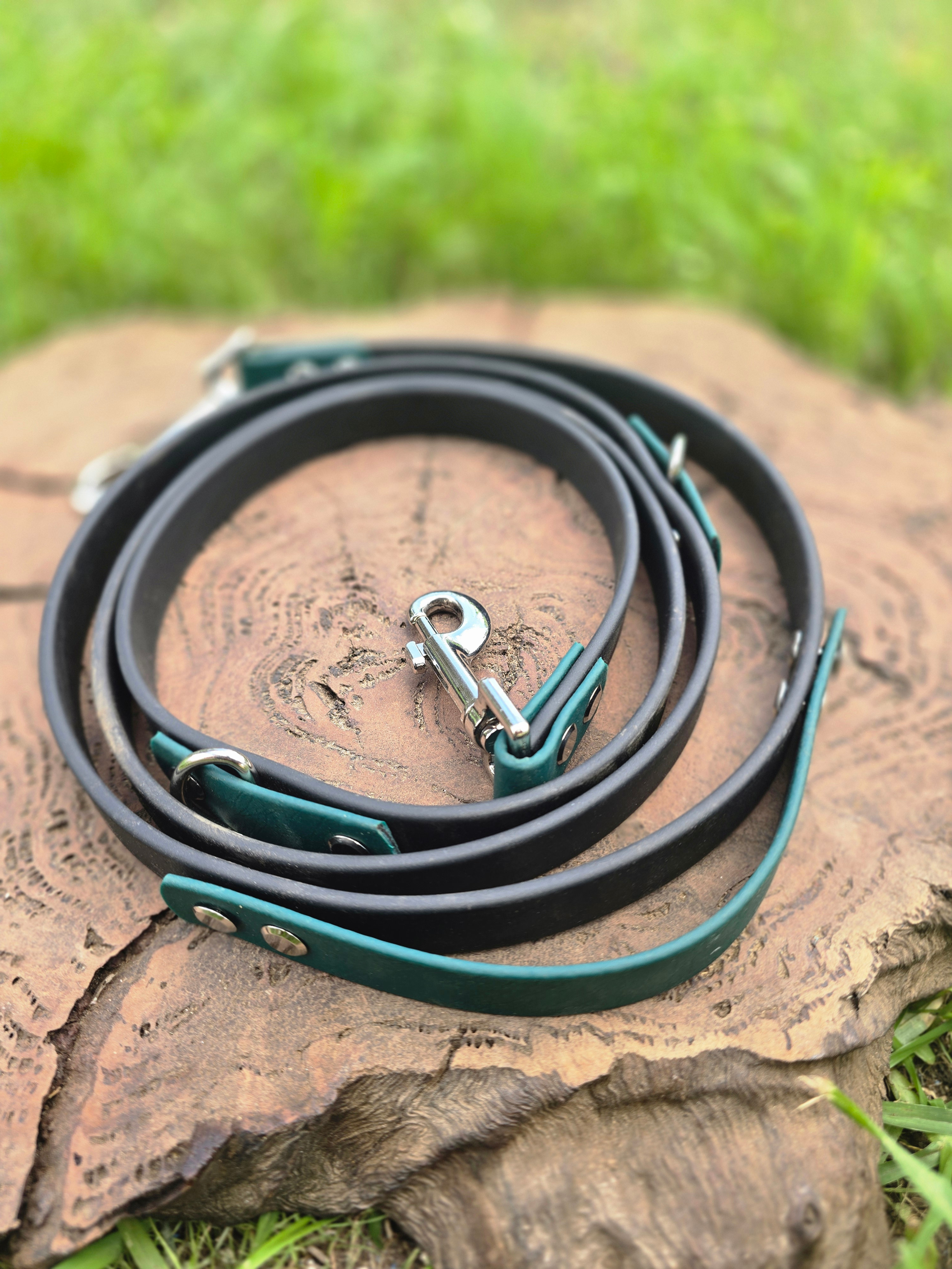 Hands free Leash