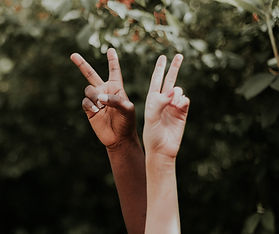 priscilla-du-preez-KNf9AeHpI9o-unsplash_edited.jpg