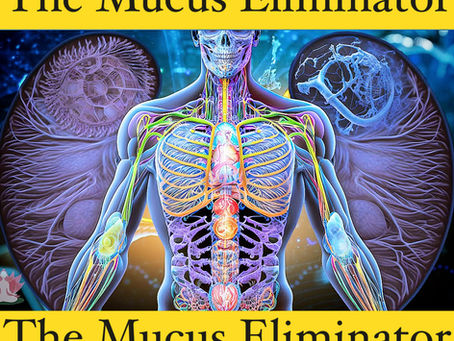3 New Cleanses Available: The Mucus Eliminator, The Endocrine Restorator, The Hormone Regulator