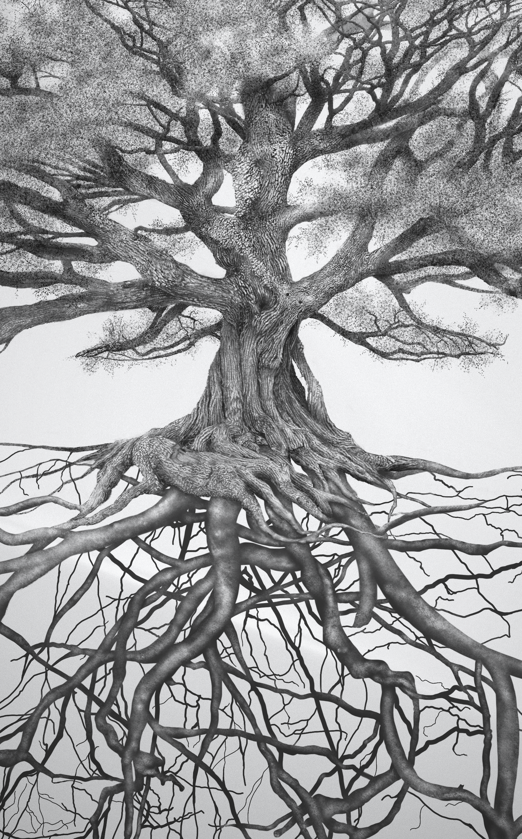 Portfolio-Website_Big-Oak-Details.gif