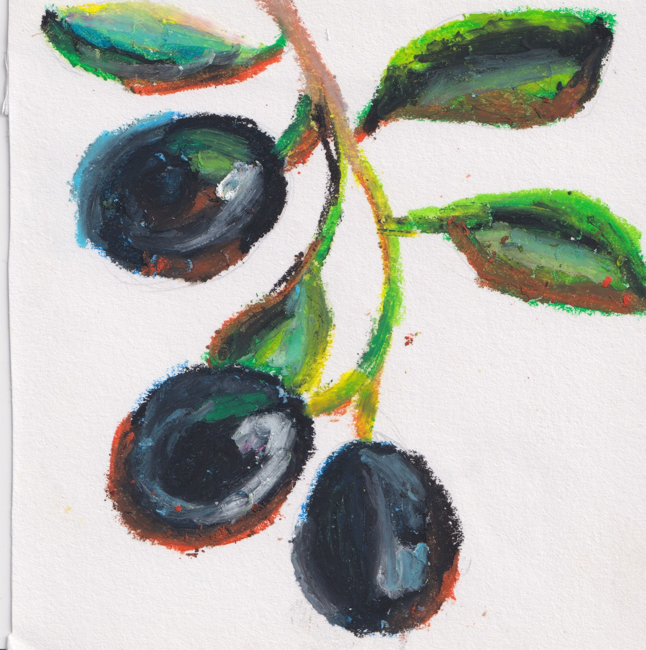 Olive Branch