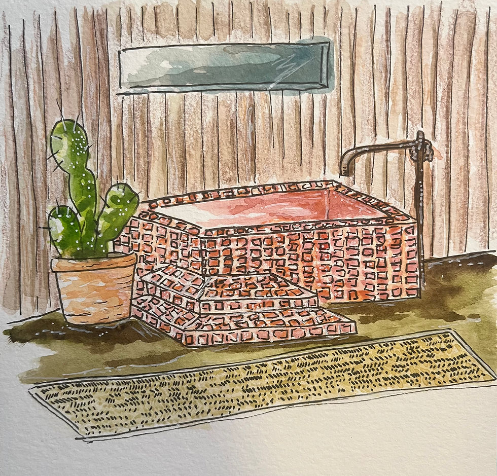 Bathroom vignette with a tiles bath and cactus