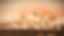 NQZRTXGYQFBTHEUXISE4BI2JDA_edited_edited.jpg