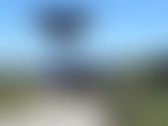 UMA CAMINHADA SURPRESA