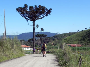 UMA CAMINHADA SURPRESA
