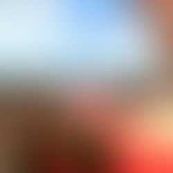 O Papa: estamos com os jovens de todas as terras ensanguentadas pela guerra