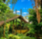 Caminhada de Maio - Morretes