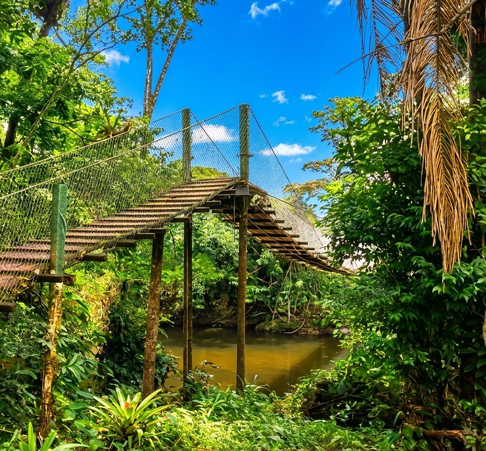 Caminhada de Maio - Morretes