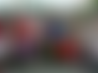 Associados partem para VI ENAP