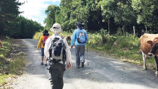 NOSSA CAMINHADA SURPRESA