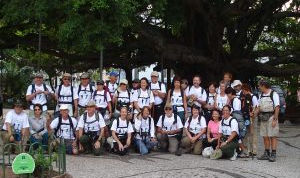 Caminho da lha - Esp
