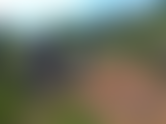 Reconhecimento de trilha