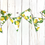 Thumbnail: Wood Summer Lemon Garland