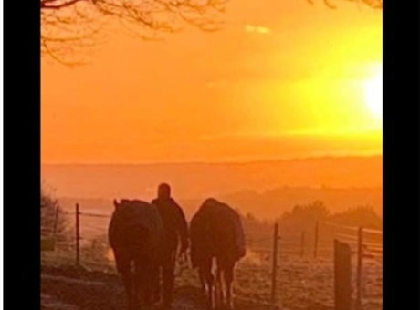 image1 (1)_edited.jpg