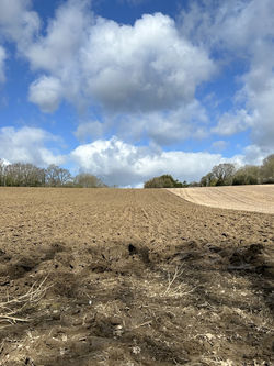 plough
