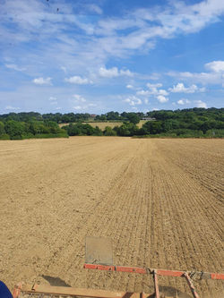 IMG-20230313-WA0006