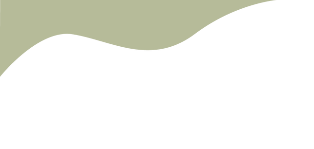 Sans titre - 3_Plan de travail 1 copie 4.png