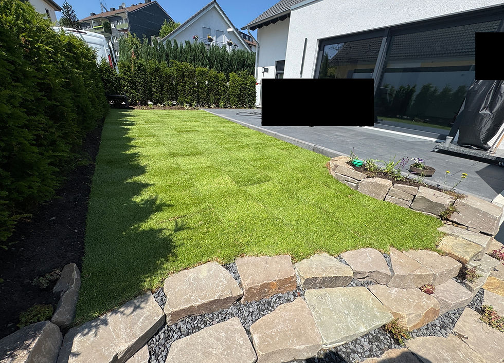 Projekt Komplettanlage 3