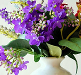 flowers in vase