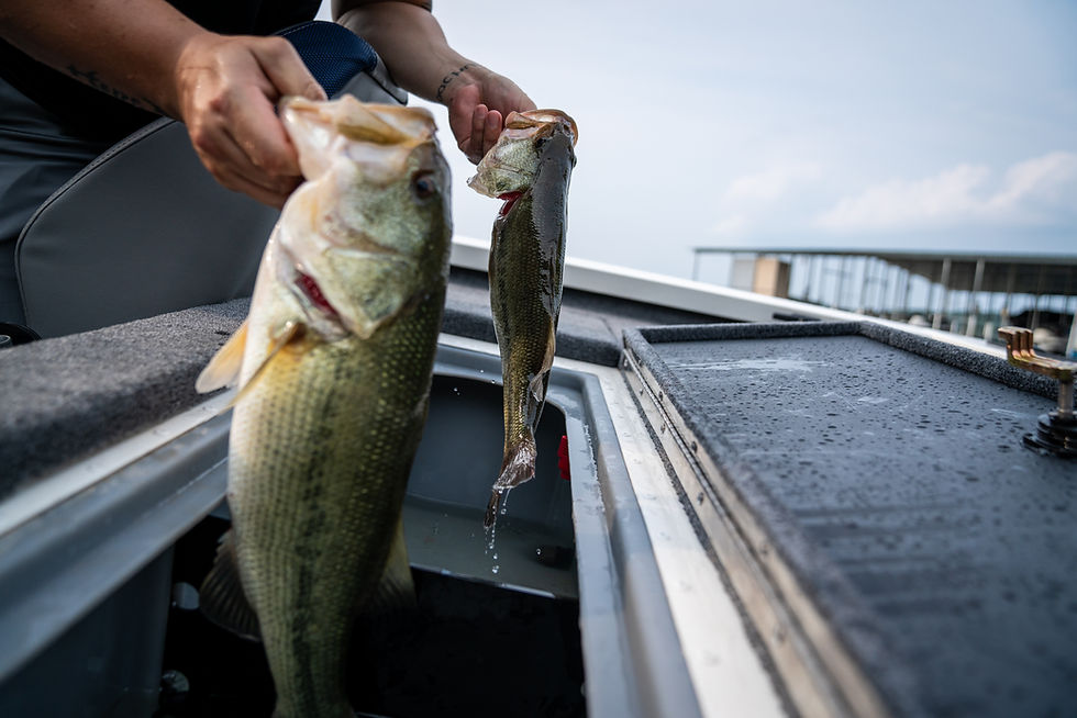 A Summer Fishing Adventure