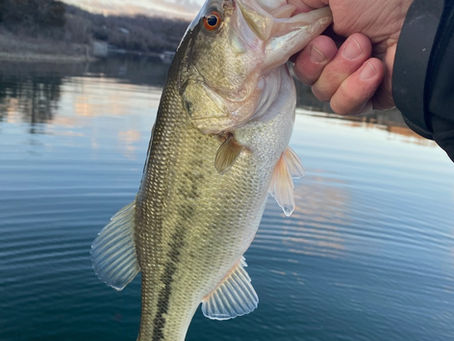 Bass Fishing November