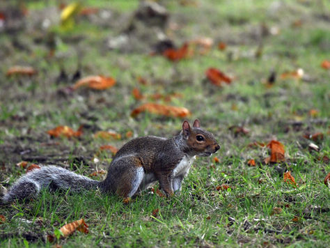 Scotland's catching up
