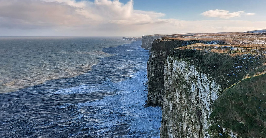 Flamborough Head Bempton.jpg