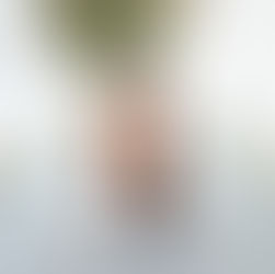 Destinee | Plantation Senior Session