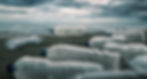 Plastic bottles on the beach.