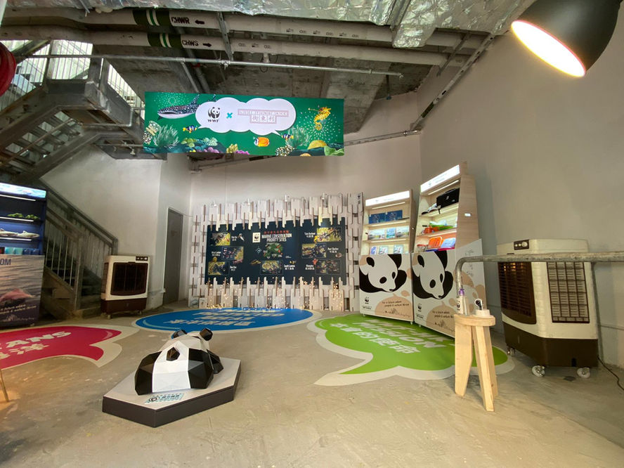 display, pop-up store,