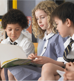 Screenshot 2025-06-30 174558 - Copy (2).png