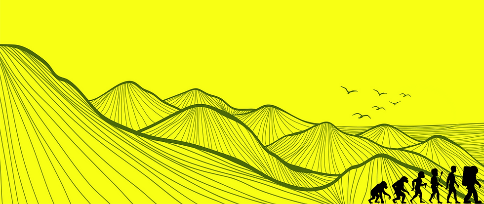 Hero Banner Bottom Desktop.png