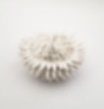 Thumbnail: Alba Pollinis