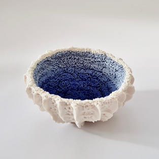 Patera Arida